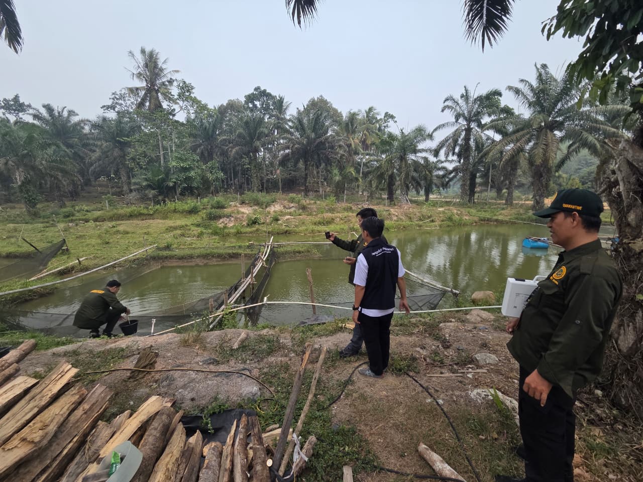 Kegiatan Pemantauan Daerah Sebar HPIK bersama tim dari Badan Karantina UPT Prov. Jambi - 20260922103657