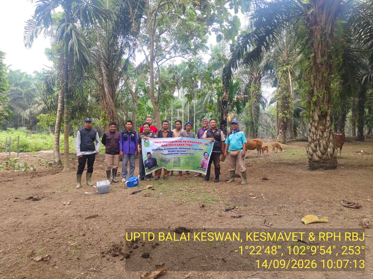Kegiatan vaksinasi UPTD Rimbo Bujang - 20260922104048