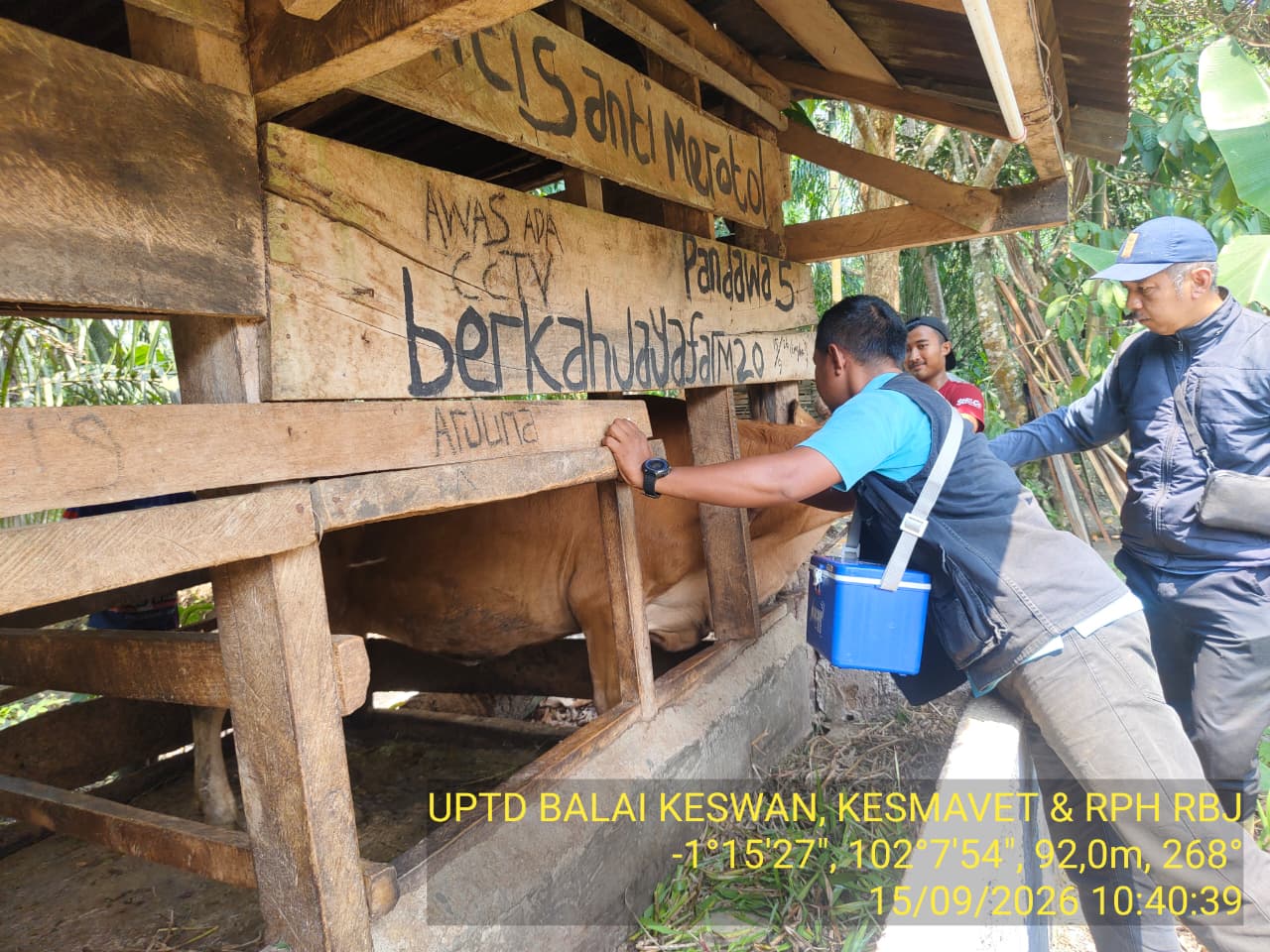 Kegiatan vaksinasi UPTD Rimbo Bujang - 20260922104048