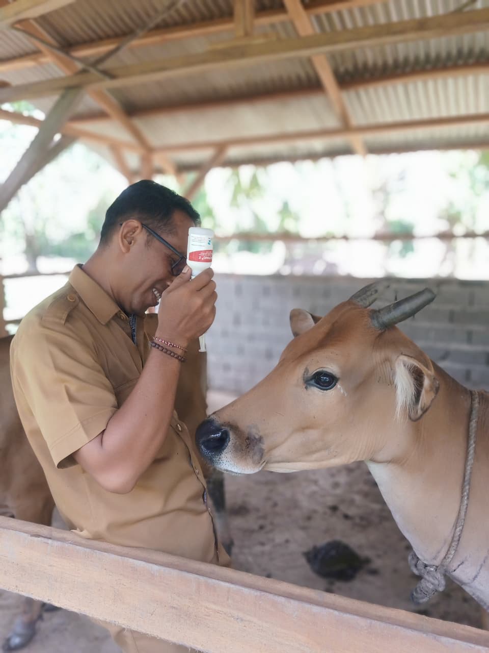 vaksinasi Penyakit Mulut dan Kuku (PMK) pada ternak - 20260922110500